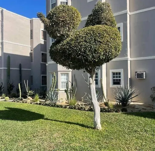 Departamento En 1er Piso 2 Bdr 2bath Tezal * Cabo San Lucas
